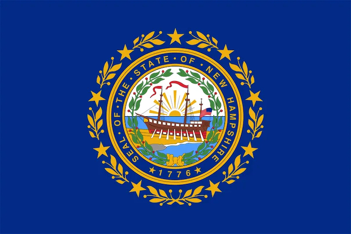 New Hampshire Flag